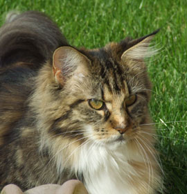 Lili Marleen mit knapp 2 Jahren