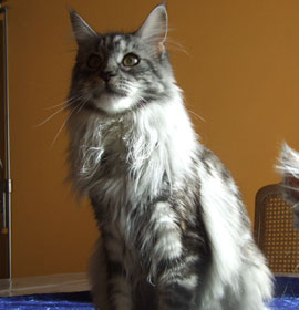 Queeny mit 9 Monaten