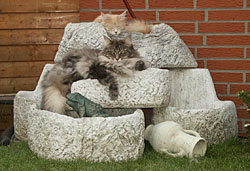 Der Garten ist sehr beliebt