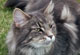 Wendy mit 4 Jahren