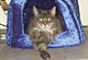 Wendy mit 6 Jahren und 7 Monaten