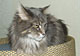 Wendy mit 7 Jahren und 9 Monaten