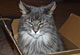Wendy mit 8 Jahren und 10 Monaten