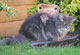 Wendy mit 8 Jahren und 1 Monat