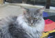Smoothie - knapp 2 Jahre alt