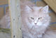 Deborah mit 2 Jahren und 10 Monaten