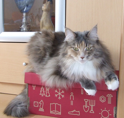Arielle mit 4 Jahren