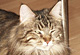 Angel mit 2 Jahren