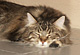Angel mit 2 Jahren