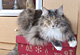 Arielle mit 4 Jahren