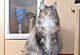 Arielle mit 4 Jahren