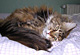 Hetty mit 4 Jahren