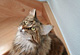 Hetty mit 5 Jahren