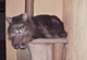 Hobie mit 4 Jahren