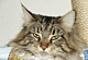 Monty mit 16 Monaten
