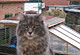 Collin mit 2 1/2 Jahren