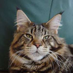 Goodman of Whisperwood