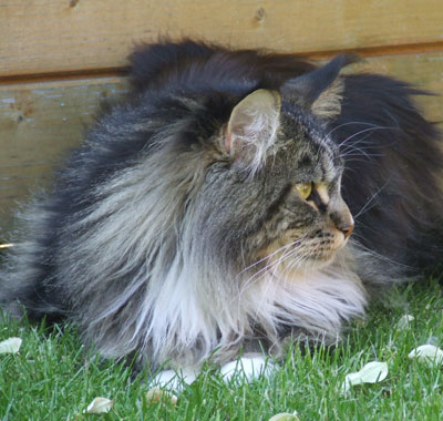 Harmony mit 1 1/2 Jahren