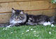 Harmony mit 1 1/2 Jahren