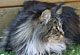 Harmony mit 1 1/2 Jahren
