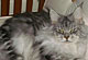 Holly mit 1 1/2 Jahren