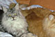 Holly mit 1 1/2 Jahren