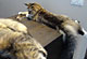 Jamie Lee und Josephine mit 11 Monaten