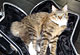 Josephine mit 11 Monaten