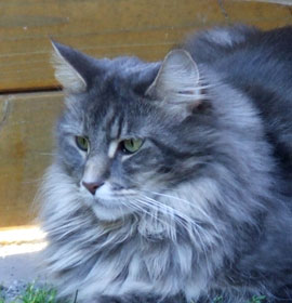 Huxley im Alter von 6 Jahren