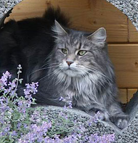 Wendy mit knapp 8 Jahren